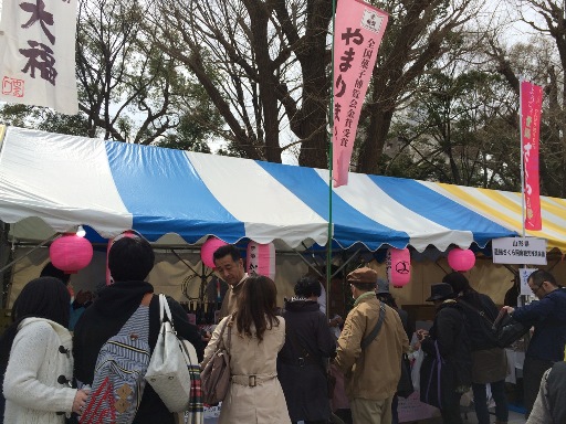 千代田さくらまつり 大盛況でした!:画像