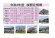 令和4年度　白鷹町さくら開花情報：画像
