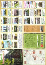 栃窪の大杉 マップ完成：画像