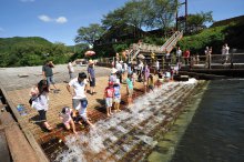 「第４１回 白鷹鮎まつり」まであと２日！：画像