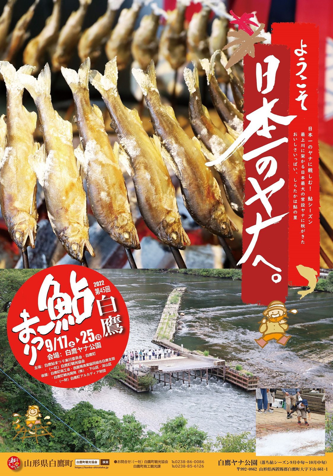 第45回 白鷹鮎まつり:画像