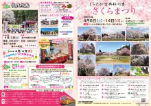 しらたか古典桜の里さくらまつり:画像