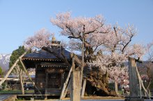 ２８年度ありがとうございました。：画像