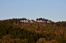 紅葉シーズン：画像