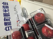しらたかレッド  de  Xmas：画像