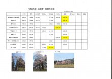 4/13開花情報：画像