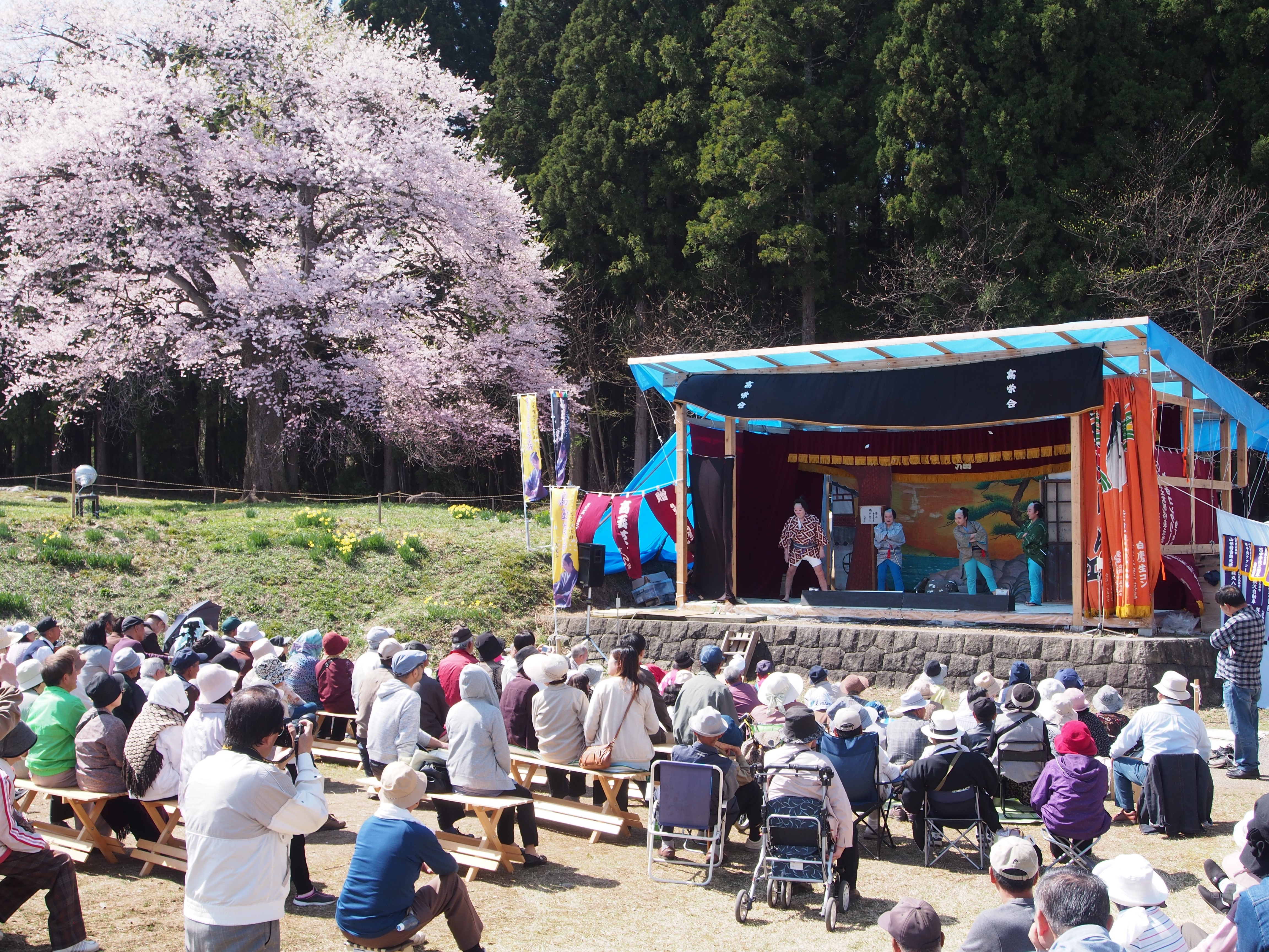 sakurayou07.JPG