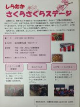 4月18日土曜日から「釜の越・薬師さくらまつり」始まります！：画像