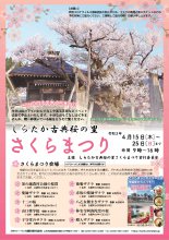 さくらまつりチラシ:画像