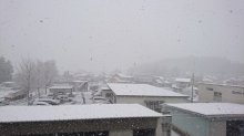 しらたかも積雪〜：画像