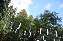 あじさい祭り１日目：画像