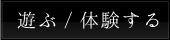 遊ぶ/体験する