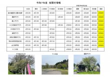 4.28開花情報：画像