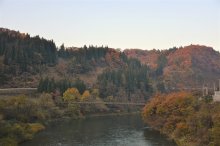 今日は冷え込み：画像