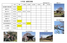 4.17開花情報：画像