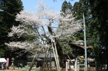 春の”荒砥”へ:画像