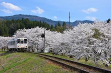 白鷹町テレビ情報 ①:画像