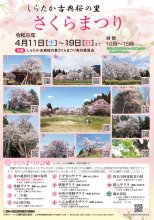 令和8年 しらたか古典桜の里 さくらまつり：画像