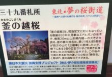 東北 夢の桜街道 スタンプラリーについて :画像