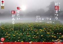 第28回白鷹紅花まつり：画像