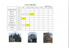 4.16開花情報：画像