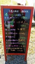 【4/18古典桜開花状況】:画像