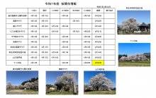 4.22開花情報：画像