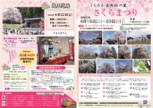 令和5年しらたか古典桜の里　さくらまつり：画像