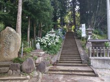 あじさい祭り中止のお知らせ：画像