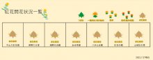 21.7.27 紅花畑：画像