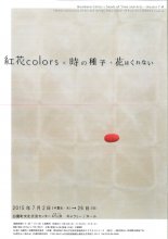 紅花シーズン到来：画像