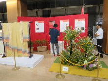 明日より山形銀行本店「白鷹紅花まつり展」です：画像