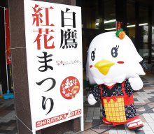 第16回　白鷹紅花まつり展：画像