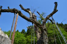 〜2016.5.19　本日の白鷹町〜：画像