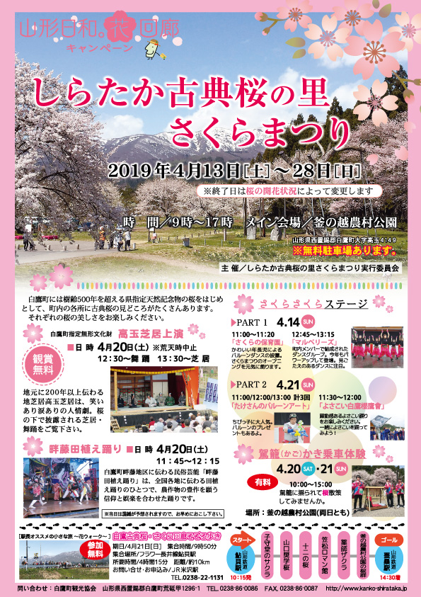 2019 しらたか古典桜の里さくらまつり :画像