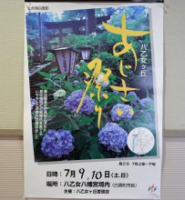 「 あじさい祭り 」：画像