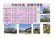 令和4年度　白鷹町さくら開花情報：画像