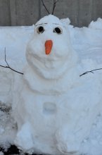 パレス松風 雪まつり:画像
