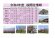 令和4年度　白鷹町さくら開花情報：画像