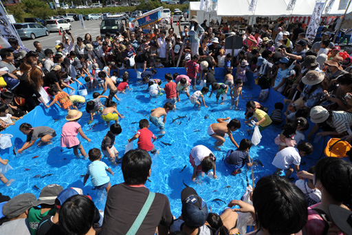 【第39回白鷹鮎まつりイベント紹介】ちびっこ魚のつかみどり:画像