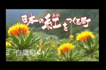 CM大賞特別賞音楽賞受賞しました!:画像