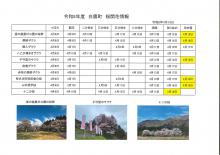 4.18桜開花情報：画像