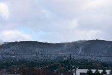 しらたか初雪：画像